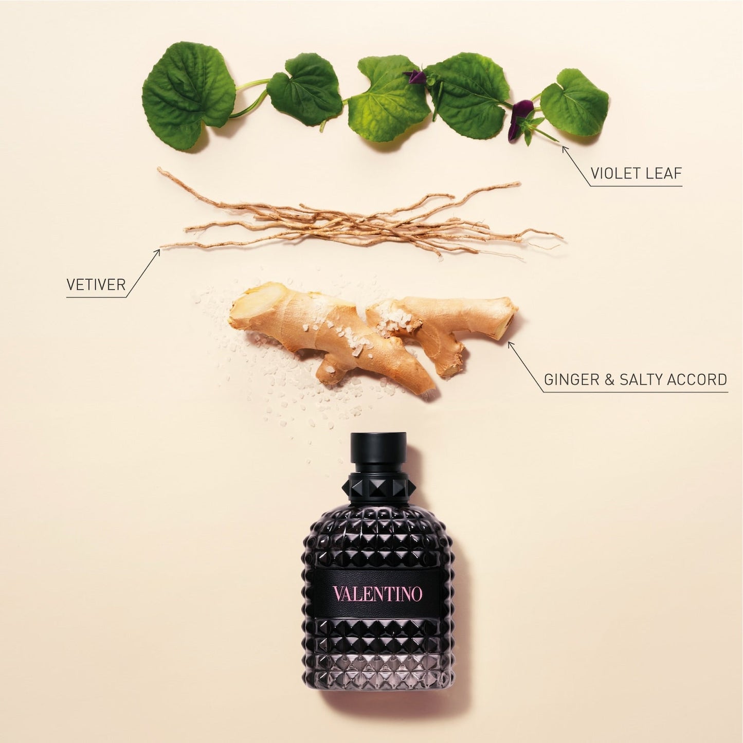 Born in Roma Uomo Eau de Toilette by Valentino - PERFUME BOUTIQUE