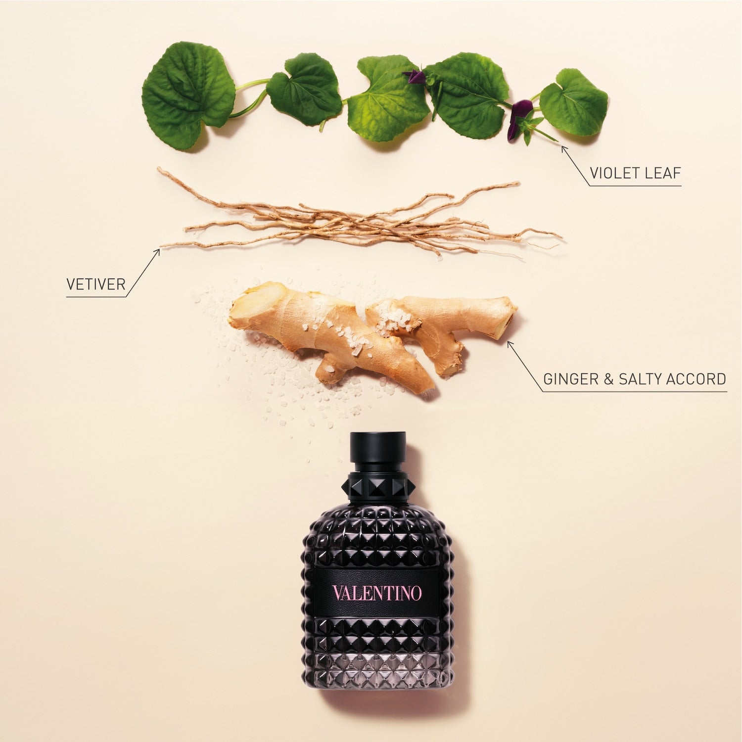 Born in Roma Uomo Eau de Toilette by Valentino - PERFUME BOUTIQUE