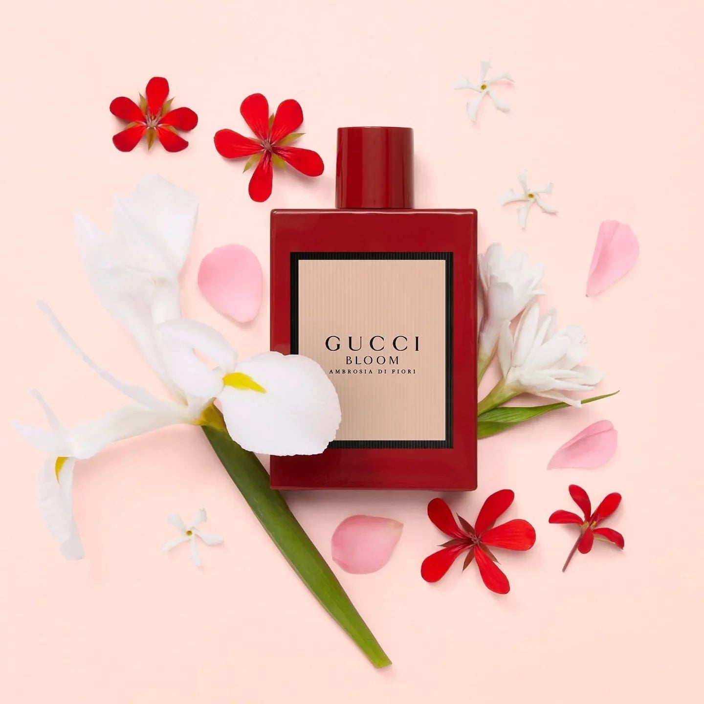Gucci Bloom Ambrosia Di Fiori Eau de Parfum by Gucci - PERFUME BOUTIQUE
