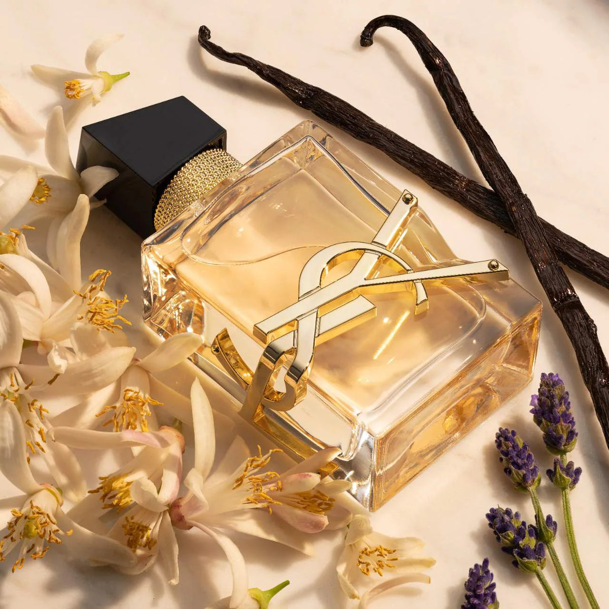 LIBRE Eau de Parfum by Yves Saint Laurent - PERFUME BOUTIQUE