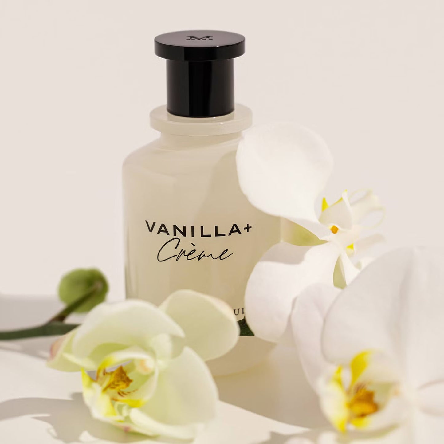 Vanilla+Creme Eau de Parfum by Michael Malul - PERFUME BOUTIQUE