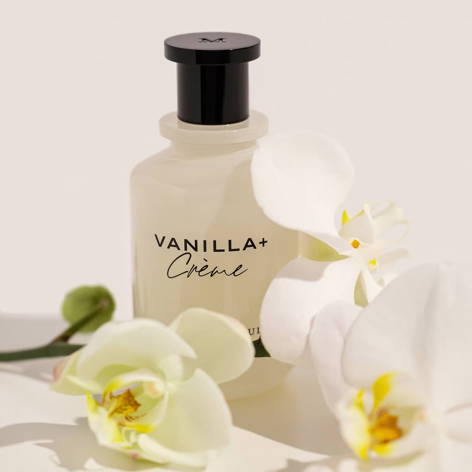 Vanilla+Creme Eau de Parfum by Michael Malul - PERFUME BOUTIQUE