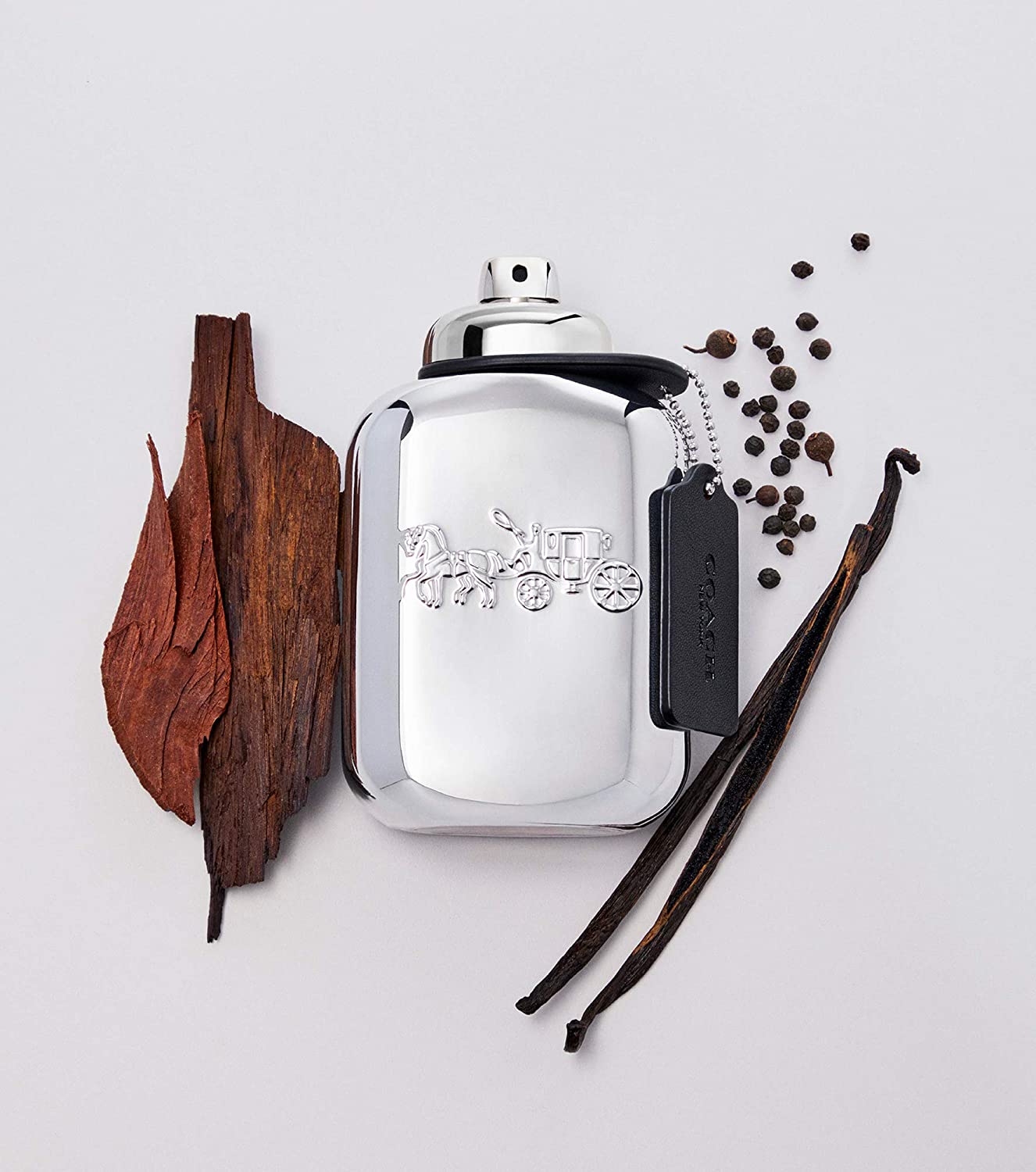 Platinum by Coach Eau de Parfum