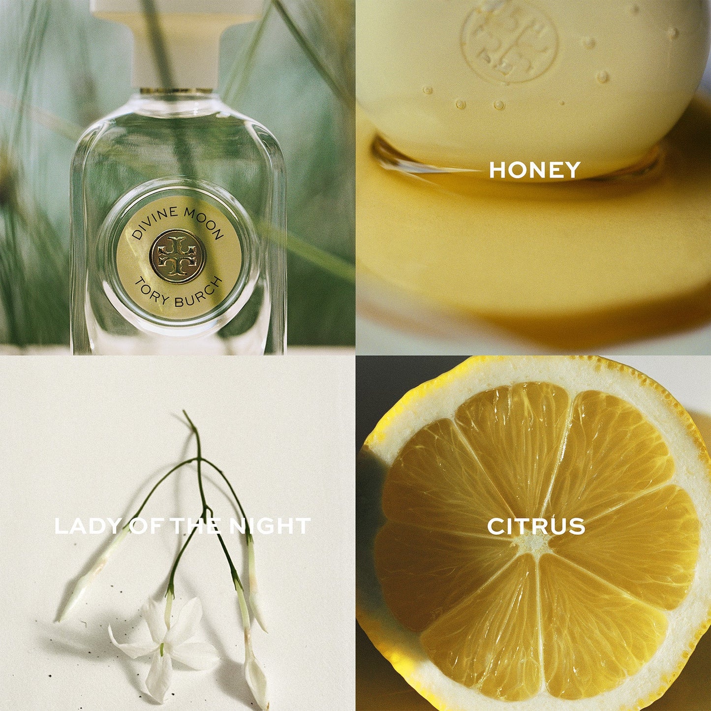 Divine Moon Eau de Parfum by Tory Burch